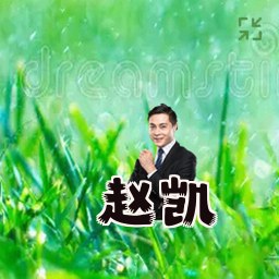 赵凯